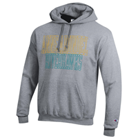 Image of AACC RIVERHAWKS HOODIE-POWERBLEND -  heathergrey